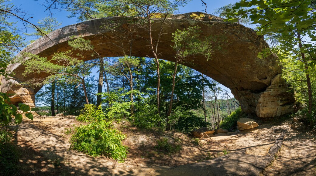 The Red River Gorge Geological Area in Kentucky