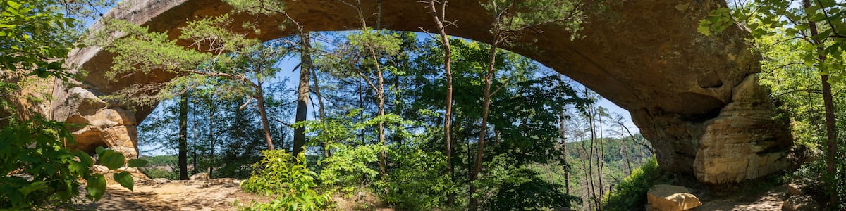 The Red River Gorge Geological Area in Kentucky
