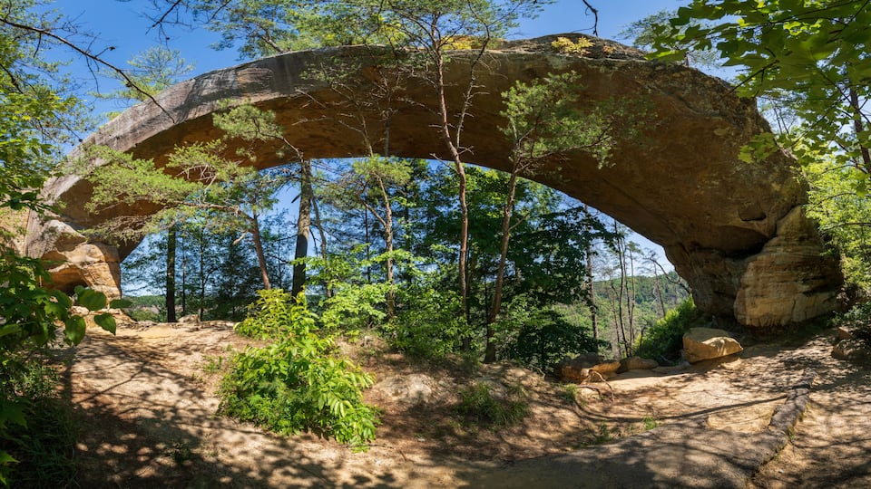 The Red River Gorge Geological Area in Kentucky