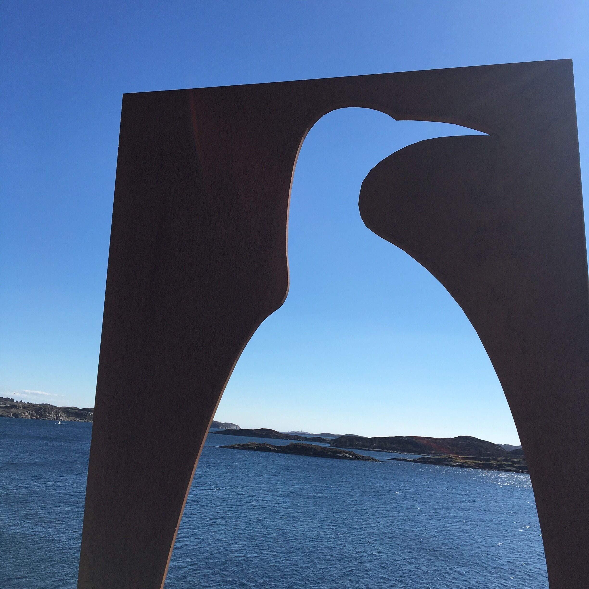 The birds are made of this plate