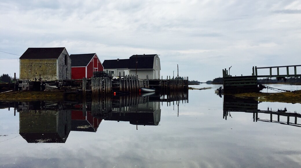Lovely little harbour and sea views at the end of the road.
#reflections
#roadtrip