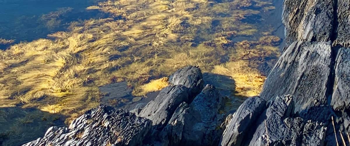 Boat in a cove at Blue Rocks, Nova Scotia near Lunenburg.