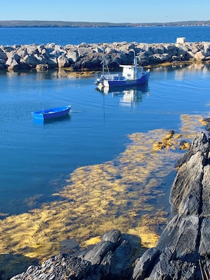 Boat in a cove at Blue Rocks, Nova Scotia near Lunenburg.