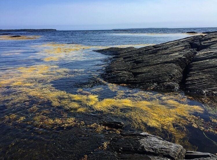 Beautiful coast of Nova Scotia, Canada - Blue Rocks. 

#canada #novascotia
#explorenwander #explorenwanderblog #travel #viaja