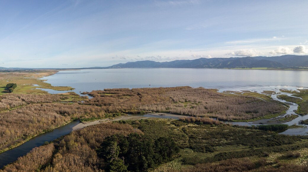 Lake Wairarapa Panorama