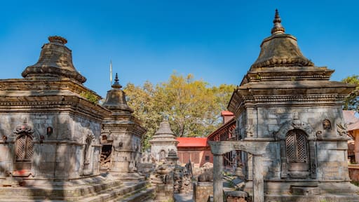 Pashupatinath is a Hindu temple complex in Kathmandu.