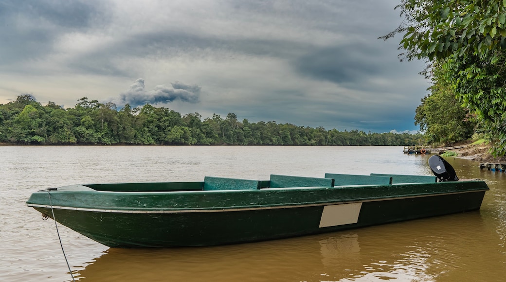 A tourist boat is moored at the shore of a tropical river. Impenetrable thickets of rain forest on the far shore. The pier is far away, a lifebuoy on the railing. Clouds in the sky. Malaysia. Borneo.
