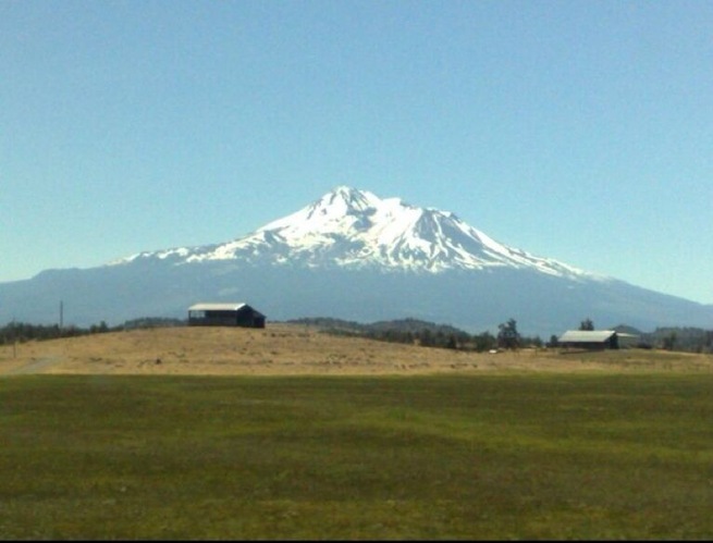 Mt. Shasta, the highest mountain in California.