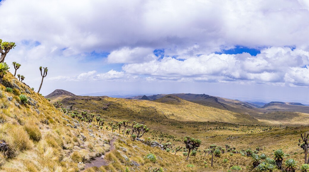 Dragons Teeth Twin Rocks Nipple Mount Satima oldoinyo Lesatima Aberdare National Park Range Ndaragwa nyandarua County Kenya East Africa Travels Landscapes Panoramic Scenic Views Central Province Drama