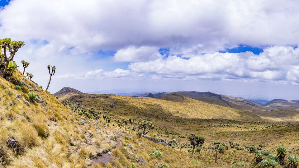 A desert landscape with rolling hills, sparse vegetation, and distant mountains under a partly cloudy sky.