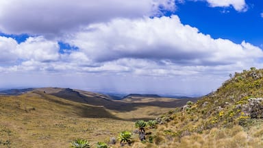 Dragons Teeth Twin Rocks Nipple Mount Satima oldoinyo Lesatima Aberdare National Park Range Ndaragwa nyandarua County Kenya East Africa Travels Landscapes Panoramic Scenic Views Central Province Drama