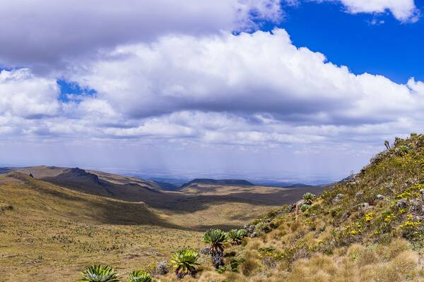 Dragons Teeth Twin Rocks Nipple Mount Satima oldoinyo Lesatima Aberdare National Park Range Ndaragwa nyandarua County Kenya East Africa Travels Landscapes Panoramic Scenic Views Central Province Drama