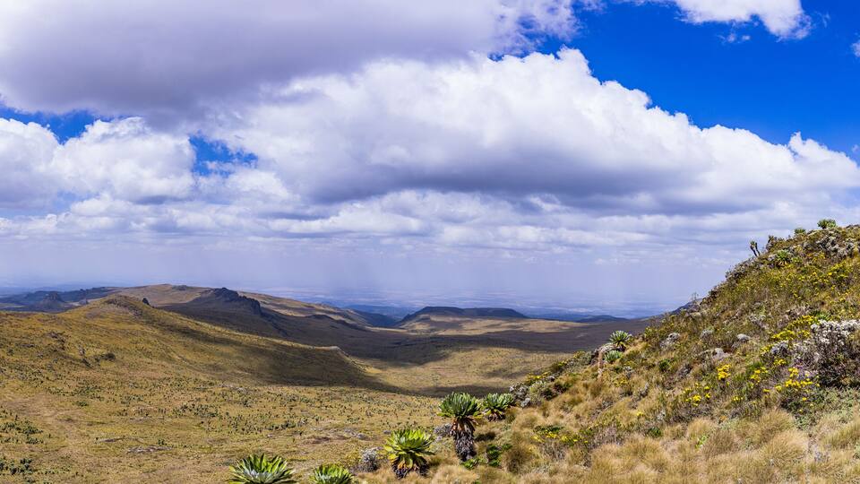 A mountainous landscape with sparse vegetation and a clear sky.