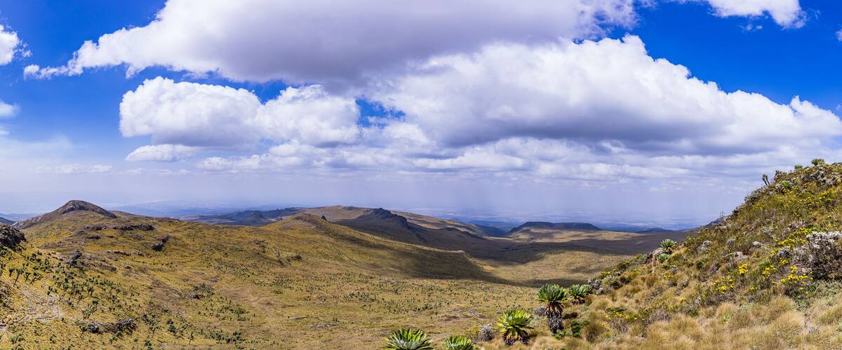 A mountainous landscape with sparse vegetation and a clear sky.