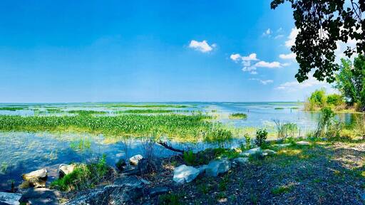 Lakeshore Landscape at Saginaw Bay, Michigan. Natural beauty. Panoramic view