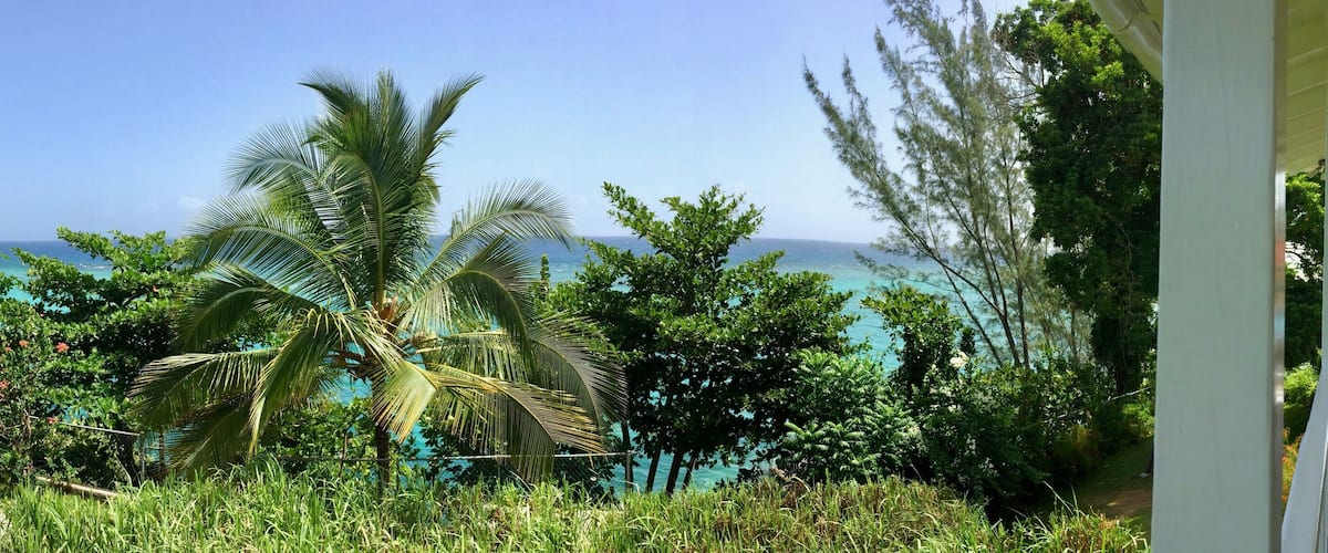 A tropical garden with palm trees and a view of the ocean.