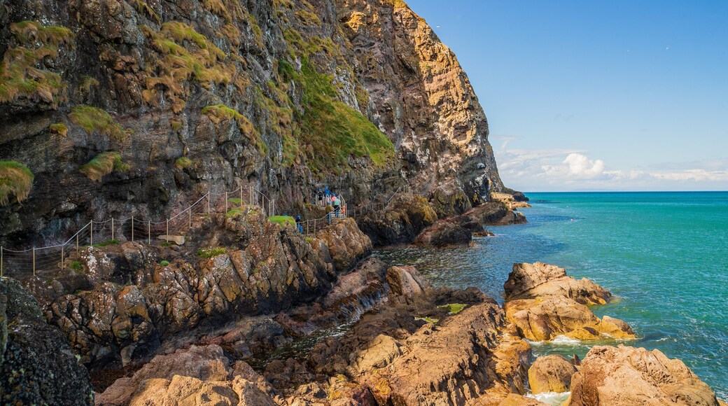 The Gobbins showing rocky coastline and general coastal views