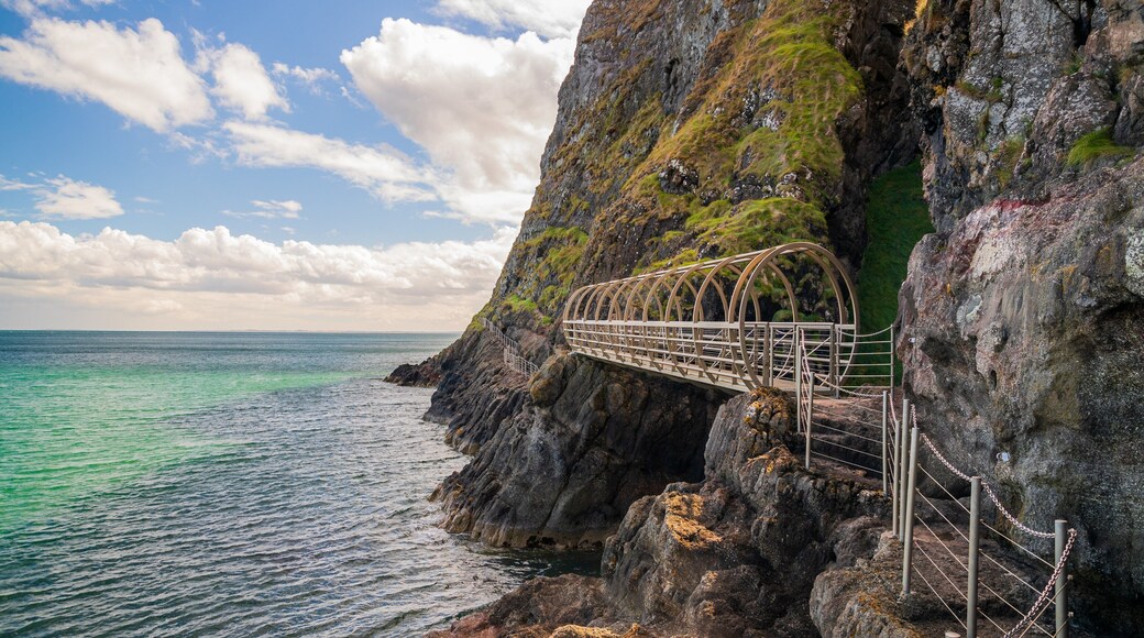 The Gobbins featuring general coastal views and rocky coastline