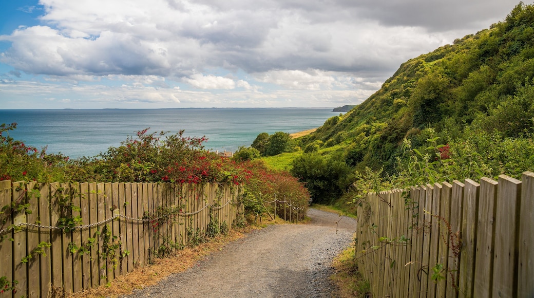 Ballystrudder which includes general coastal views