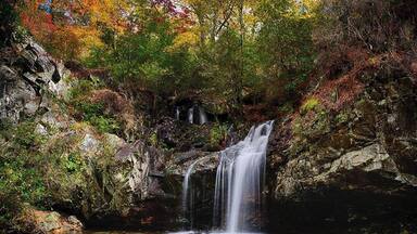 Our goal on our discovery journey through Talladega National Forest was to locate some of the waterfalls in the area. Found a beautiful spot at High Falls at the southern end of the forest. Lucky to find a vantage point that showed off the fall colours too.