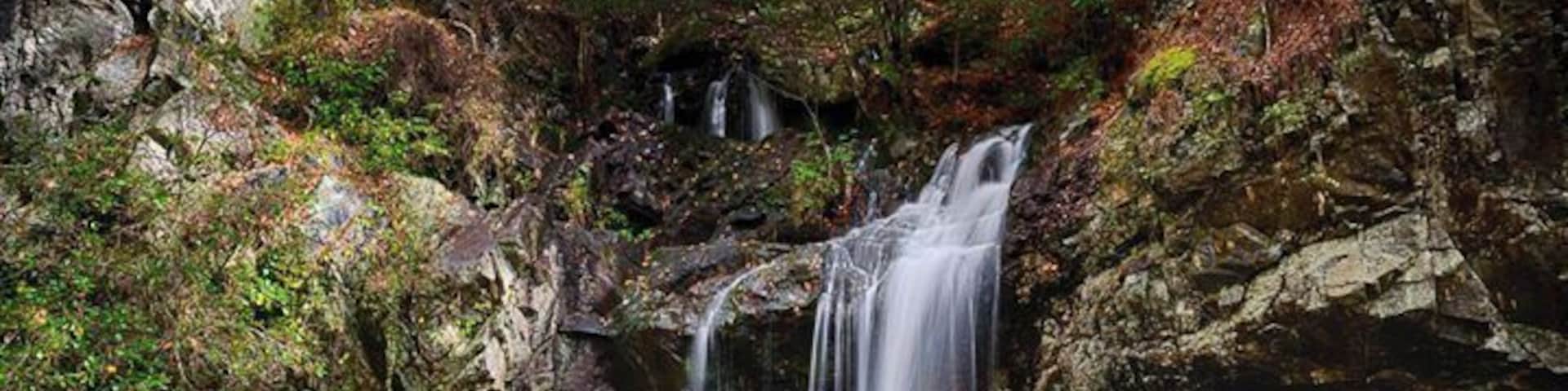 Our goal on our discovery journey through Talladega National Forest was to locate some of the waterfalls in the area. Found a beautiful spot at High Falls at the southern end of the forest. Lucky to find a vantage point that showed off the fall colours too.