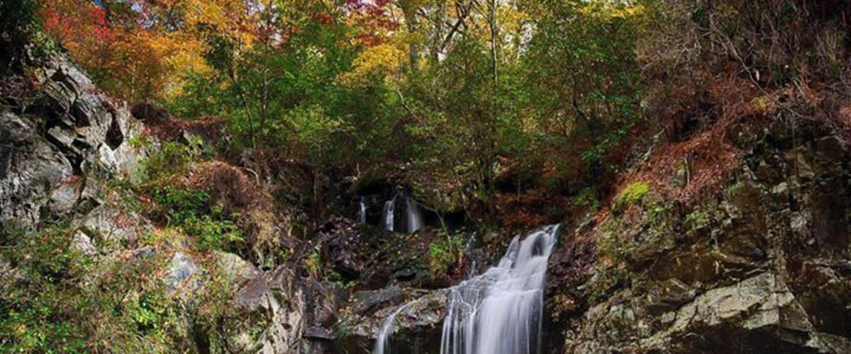A waterfall in a forested area with autumn foliage.