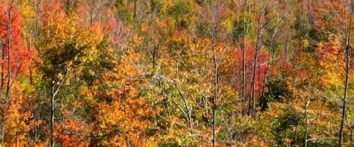 Worthley Pond
Peru, ME