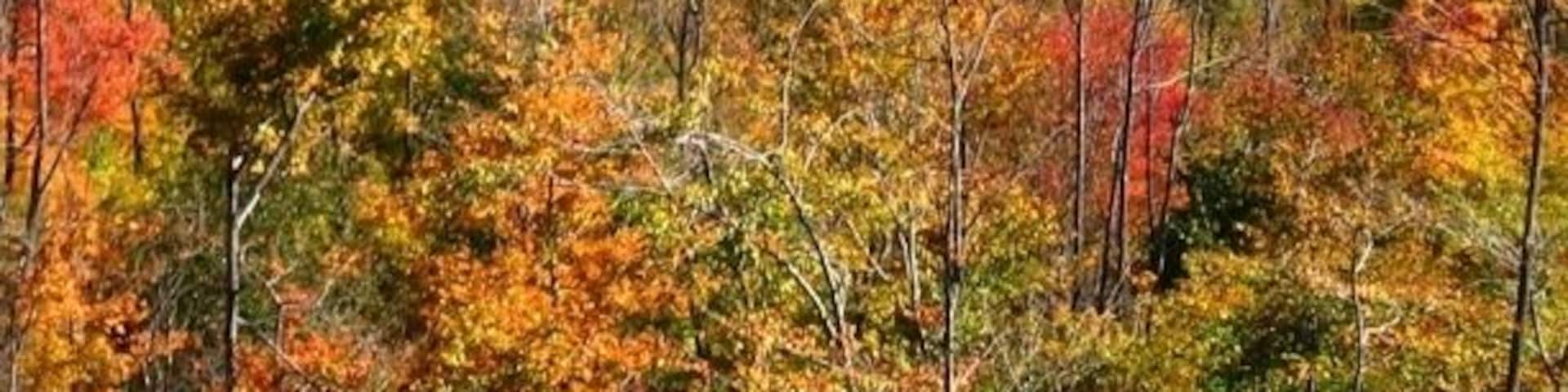 Worthley Pond
Peru, ME