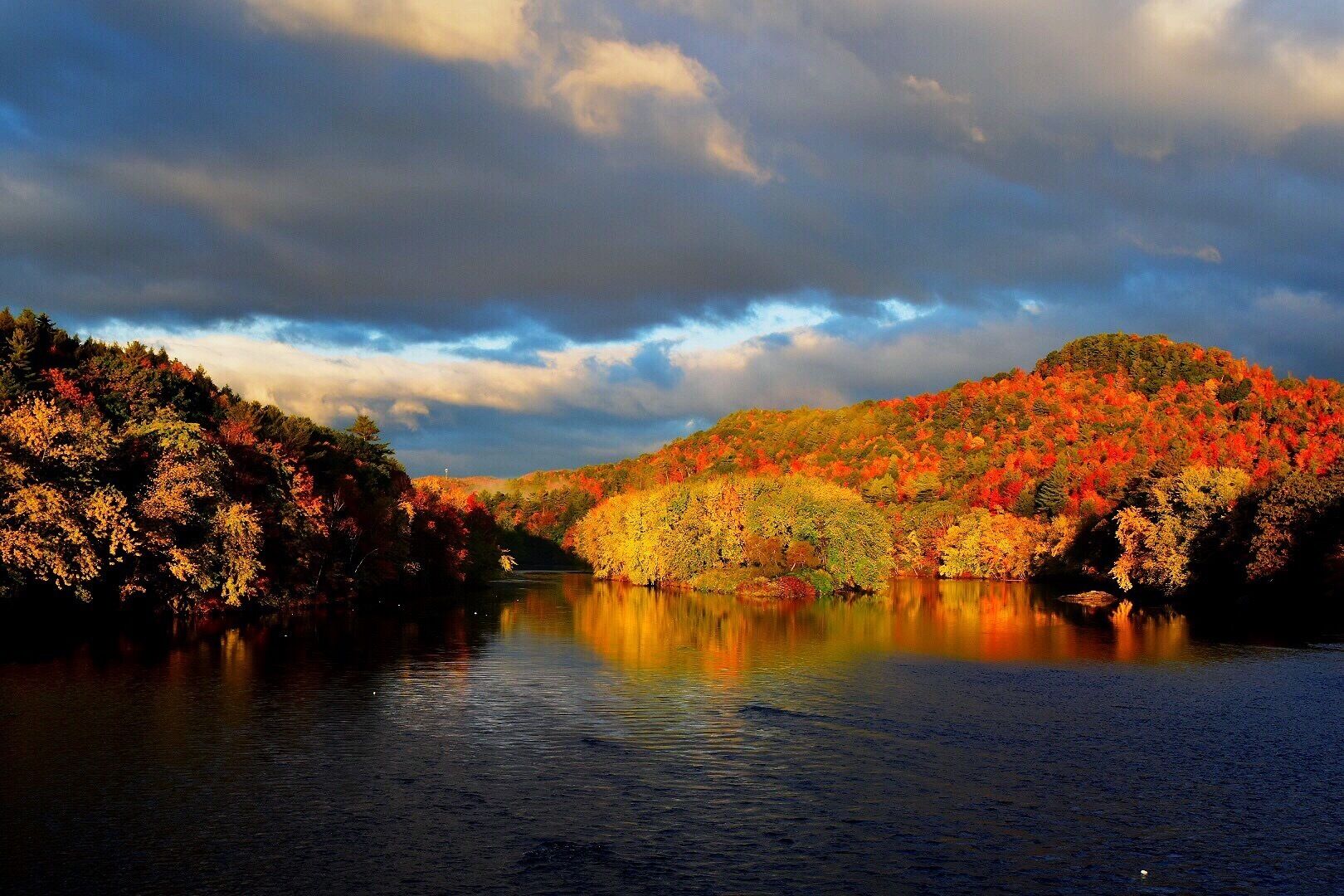 Foliage on the Androscoggin River