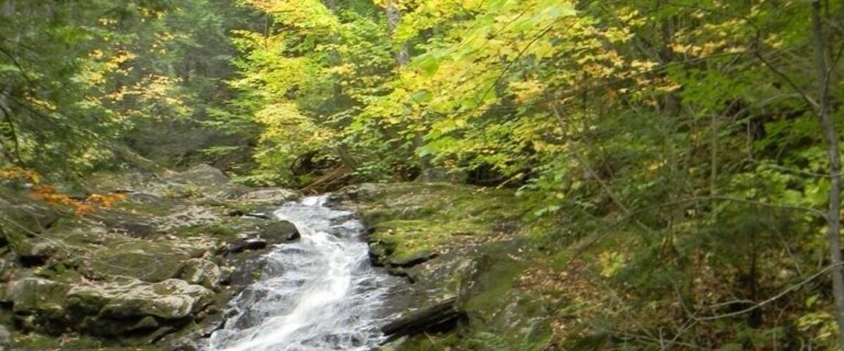 Una cascata che scorre su rocce in una zona boschiva.