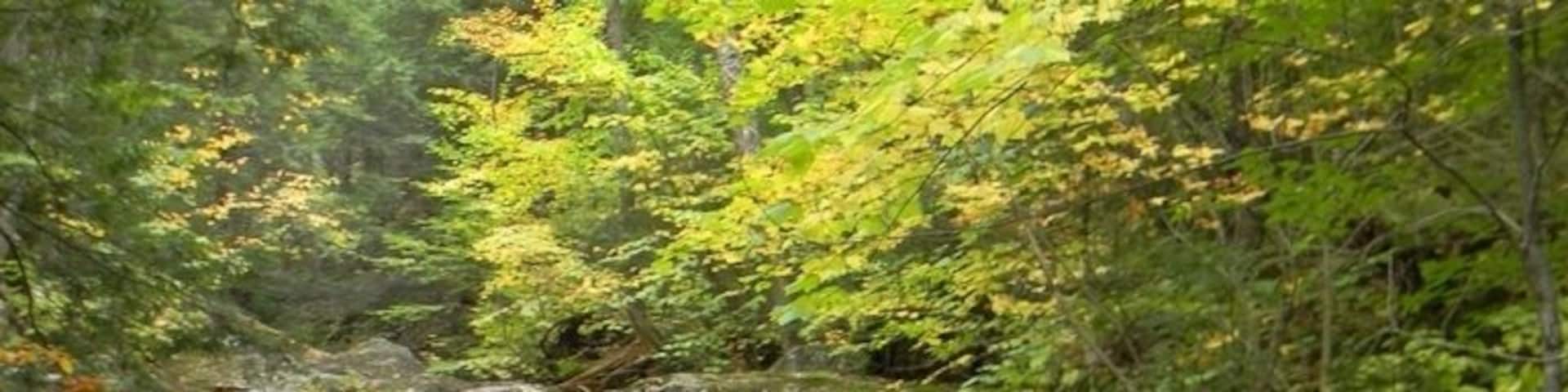 A waterfall flowing over rocks in a forested area.