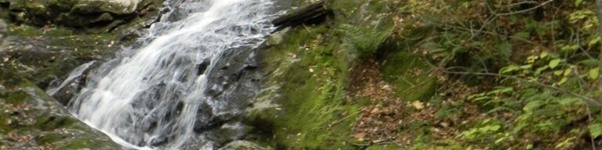 Una cascada fluye sobre rocas en un área boscosa.