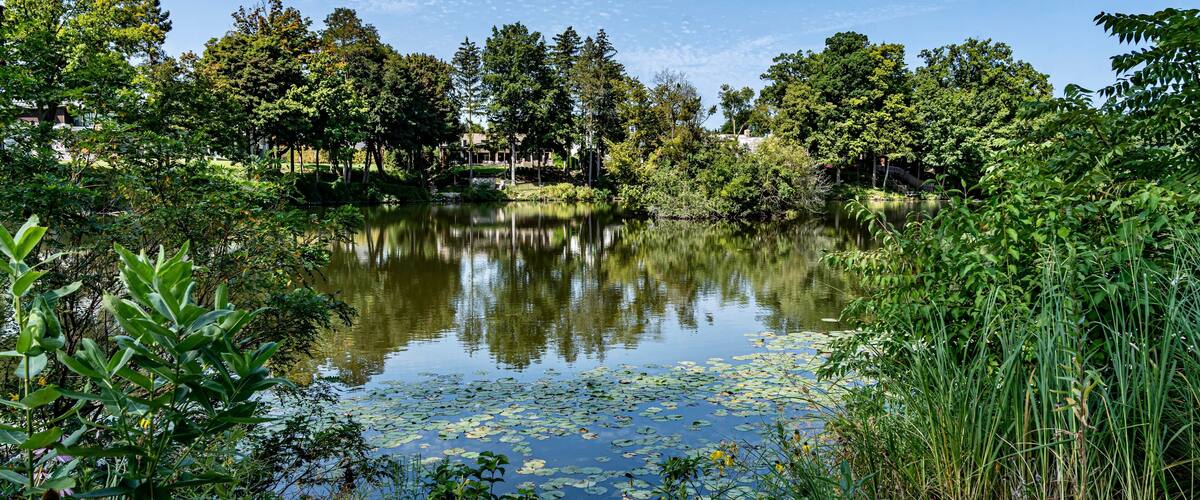 Quarton Lake Park and the Rouge River on a Summer day