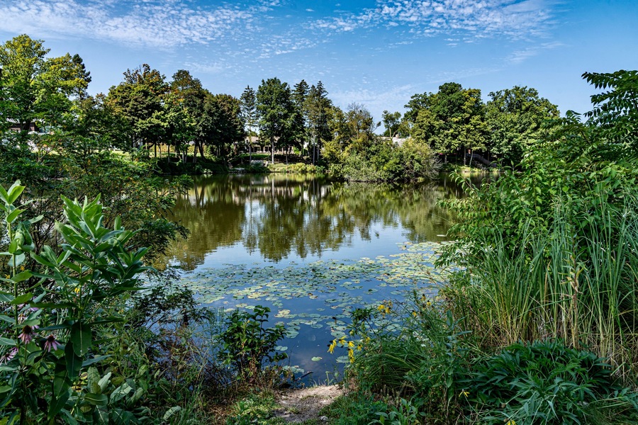Quarton Lake Park and the Rouge River on a Summer day