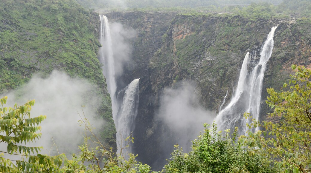 ์ฟ ๋ฒฐํธ ๋๊ฐ๋ผ