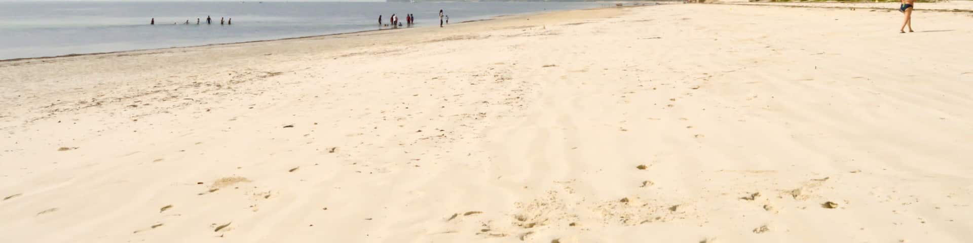 View of the beach and ocean