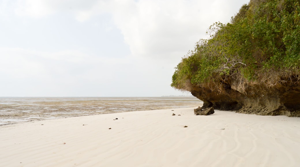 Small cove on the beach of Bamburi