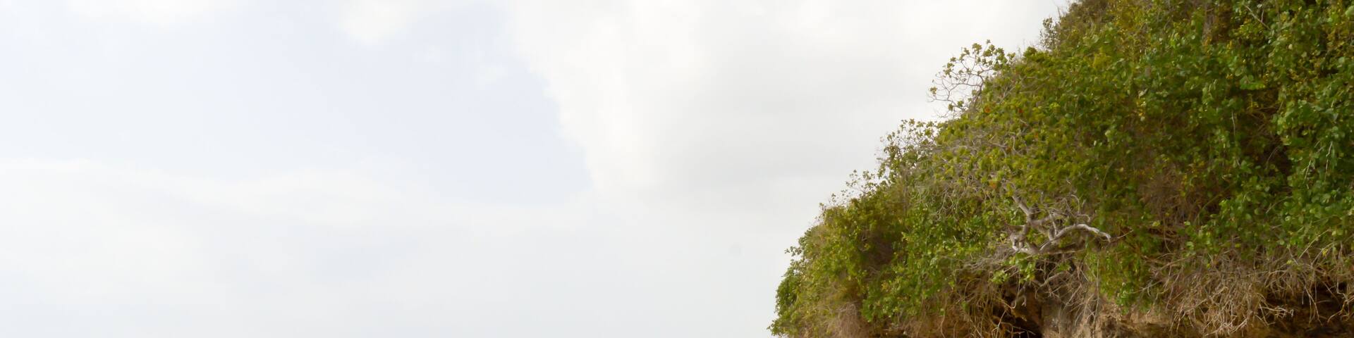 Small cove on the beach of Bamburi