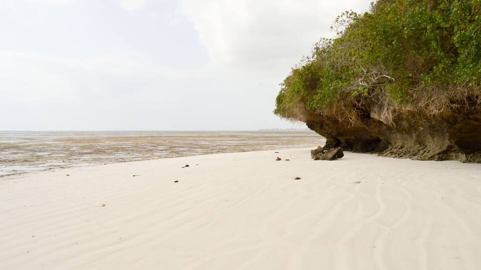 A sandy beach with a rocky cliff covered in vegetation.