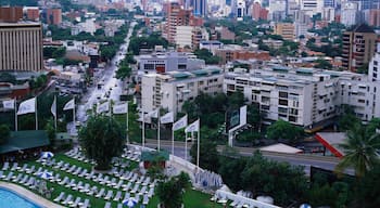 Aerial View of Las Mercedes, Caracas, Venezuela