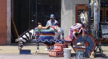 I walked into mexico to see these zebra donkeys, but forgot to change any money, so I didn't buy anything. If it was for the hours long line to walk out of Mexico, I'd wonder if I went at all.