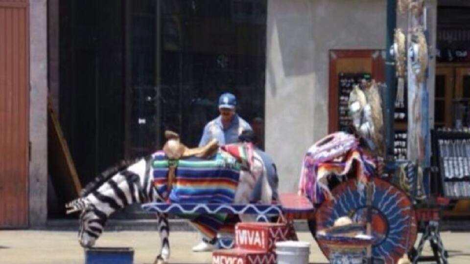 A street performer with a zebra costume, a person in a blue hat, and a colorful sign that reads "MEXICO".