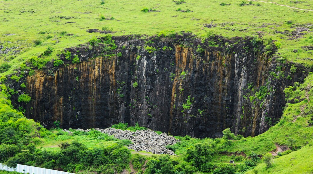 Pashan