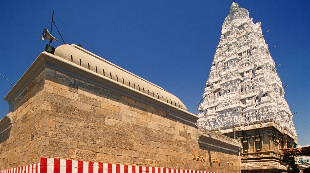 Tiruchanur