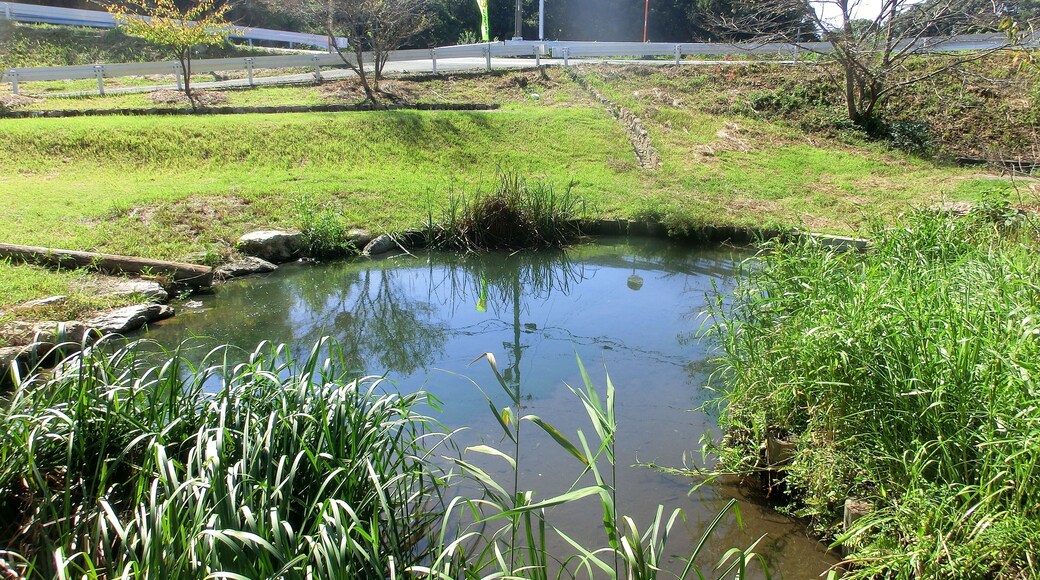 天池(あまいけ)