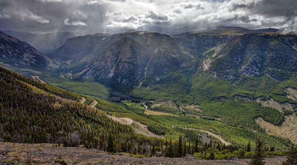 A mountainous landscape with a winding road through a dense forest.