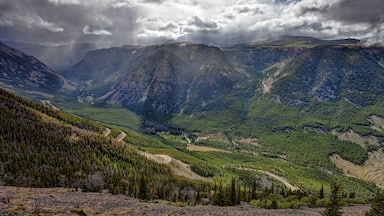 A mountainous landscape with a winding road through a dense forest.