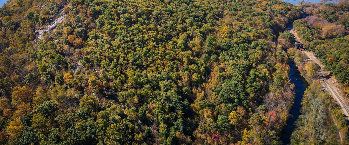 A forested mountain with a river and a trail.