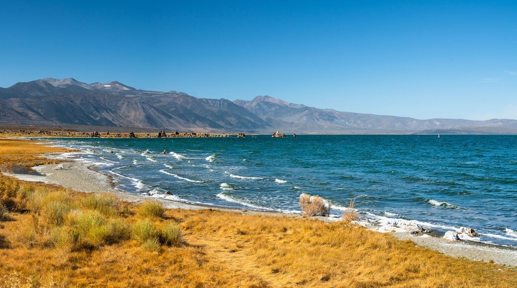 Mono Lake Tufa State Natural Reserve, California. Panoramic view