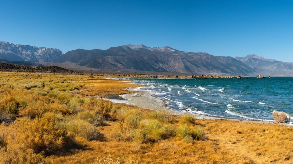A coastal landscape with dry grass, a beach, and mountains in the background.